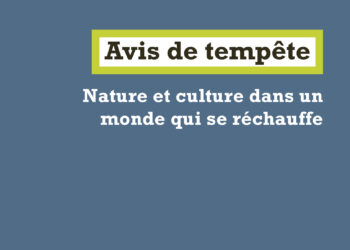 Avis de tempête