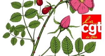 1er MAI – POUR LES SALAIRES, LES LIBERTES ET LA PAIX
